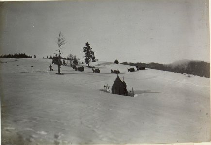 Versorgungstruppe bei Kiczera, östlich der 1000 Meter hohe Koziowagipfel (BildID 15439819)