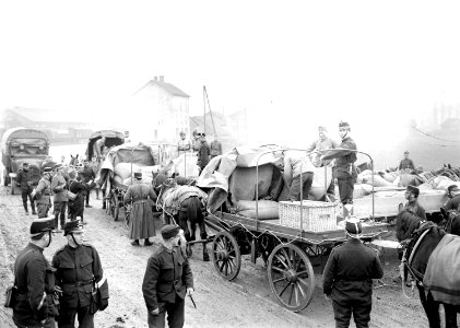 Verteilung von Verpflegung durch die Verpflegungsabteilung - CH-BAR - 3240335