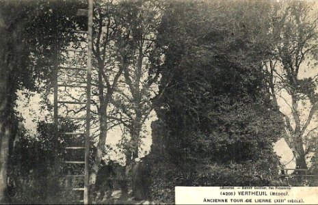 Vertheuil - château de Vertheuil d