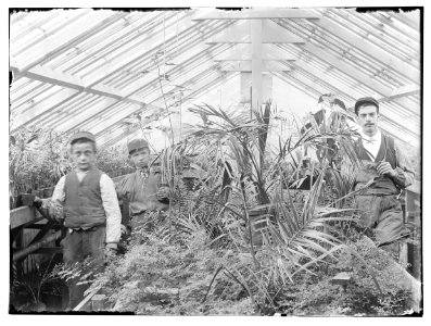 Ververspad, foto 10 Jacob Olie (max res)