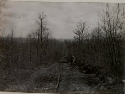Versorgungsstraße, möglicherweise bei Zwyczyn (BildID 15441789)