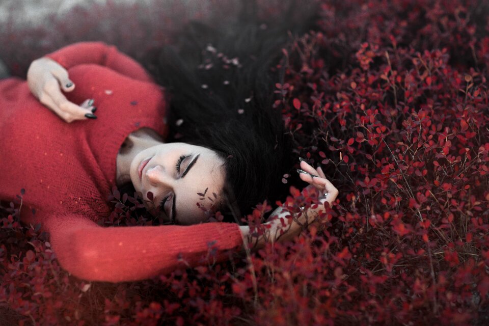 Autumn fall model