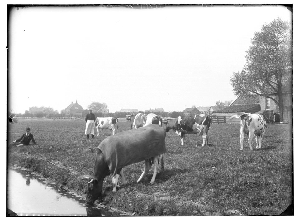 Ververspad, foto 5 Jacob Olie (max res)