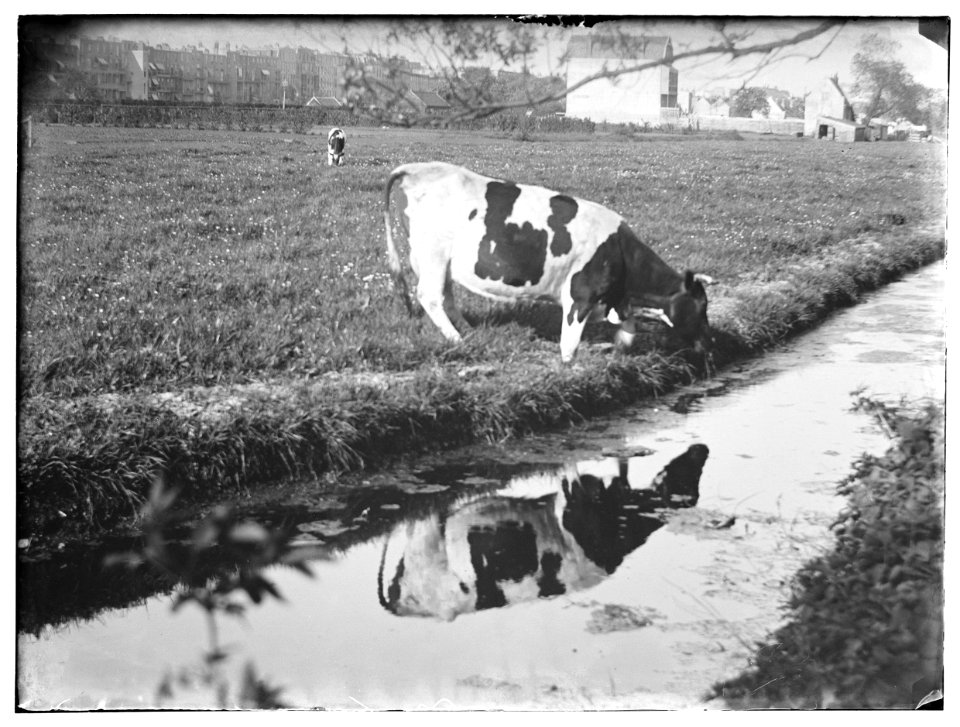 Ververspad, foto 14 Jacob Olie (max res)