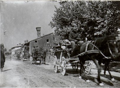Verwundeten Transport im Wippachtal.7.9.17. (BildID 15603518)