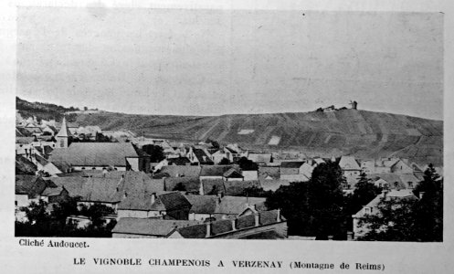 Verzenay 1906 96611
