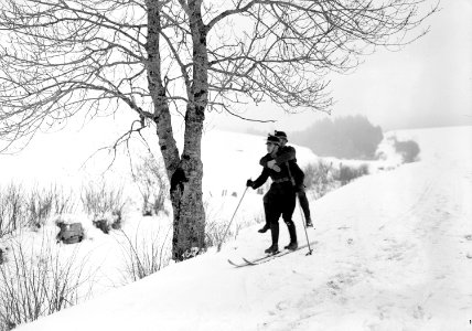 Verwundetentransport auf Ski ohne Schlitten - CH-BAR - 3238071