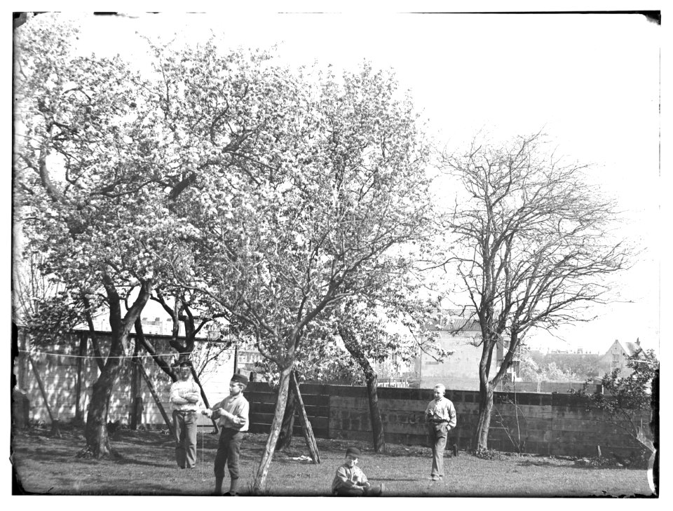Ververspad, foto 7 Jacob Olie (max res)