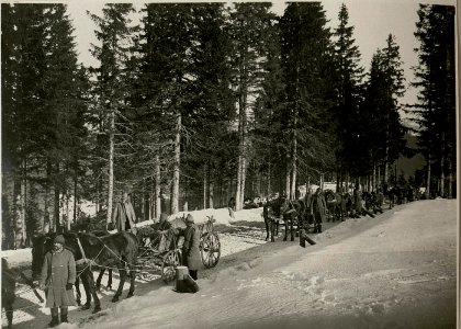 Verwundetentransport am Kopilas (BildID 15717222)