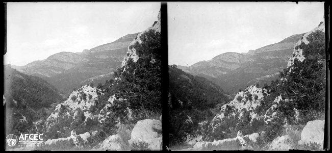 Vessants coberts de roca i boscos al grau d'Escales