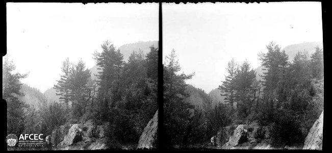 Vessant bosc amb vista a la balma del Tec des de la balma del Cavaller