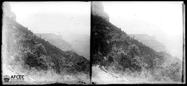 Vessant boscós de la serra de Busa