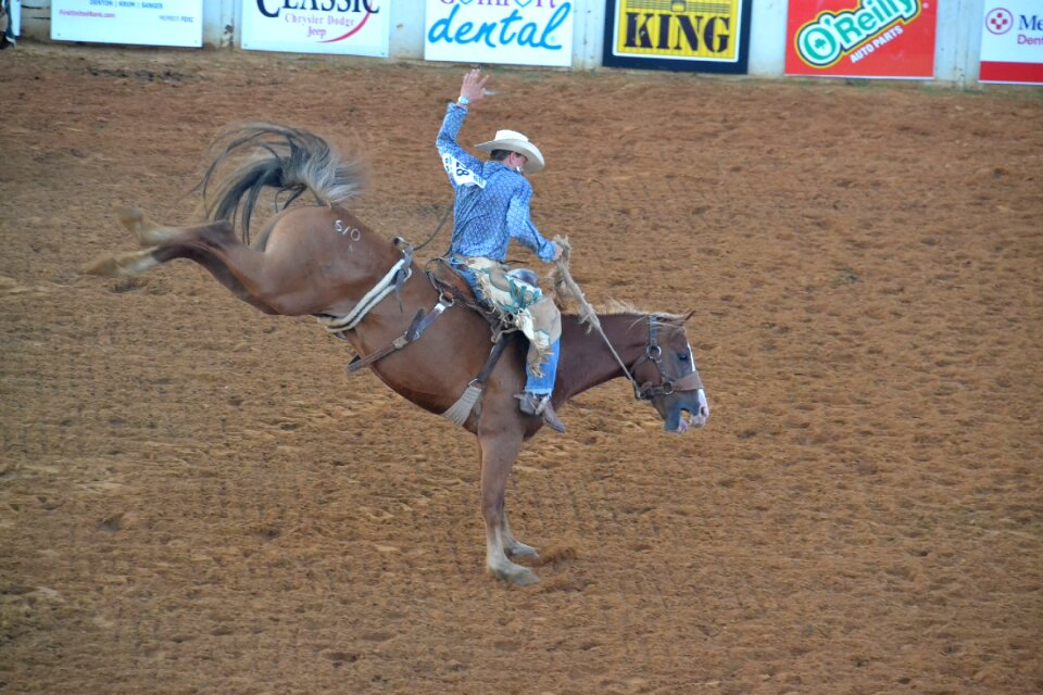 Horse riding american