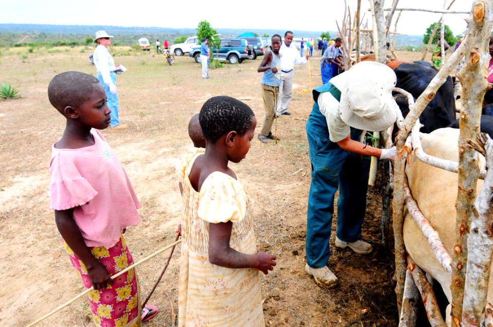 Veterinary civic action project DVIDS199495