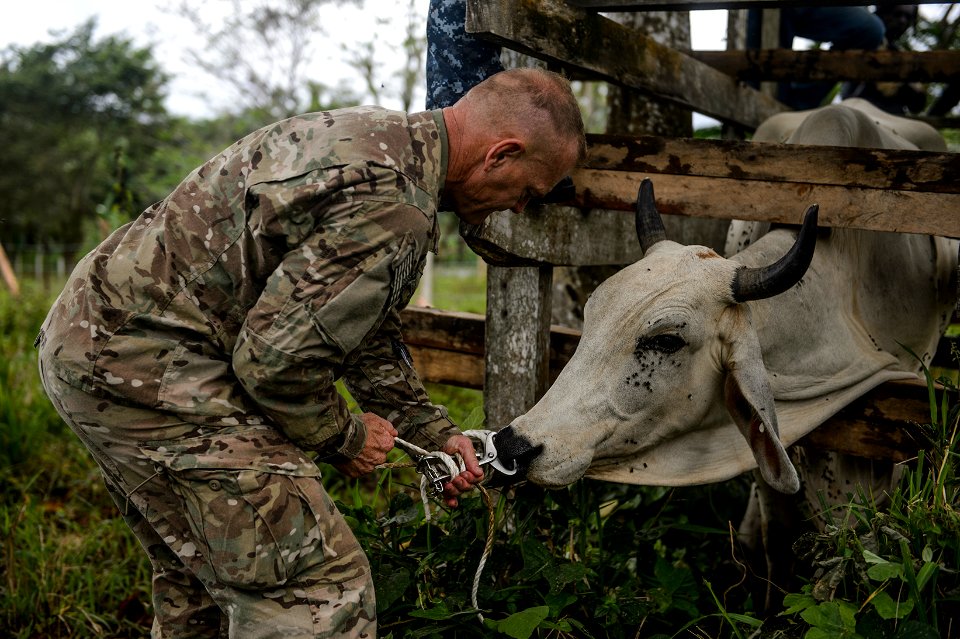 Veterinary engagement in Papua New Guinea 150701-N-TQ272-254