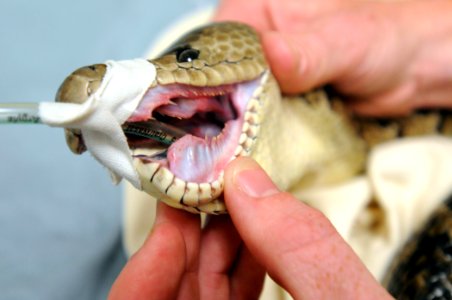 Veterinary Clinic GPS DVIDS282251