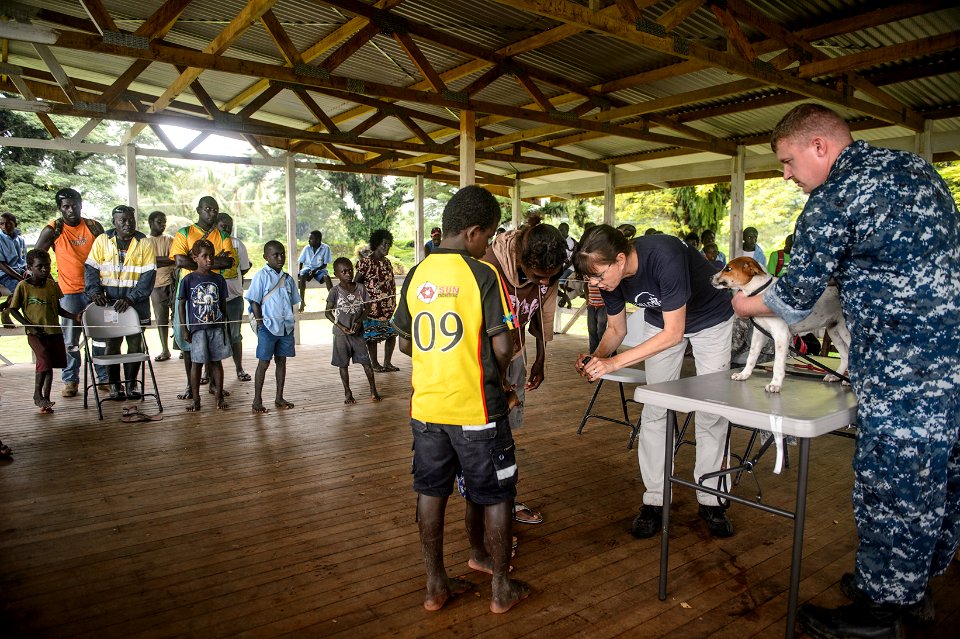 Veterinary engagement in Papua New Guinea 150701-N-TQ272-674