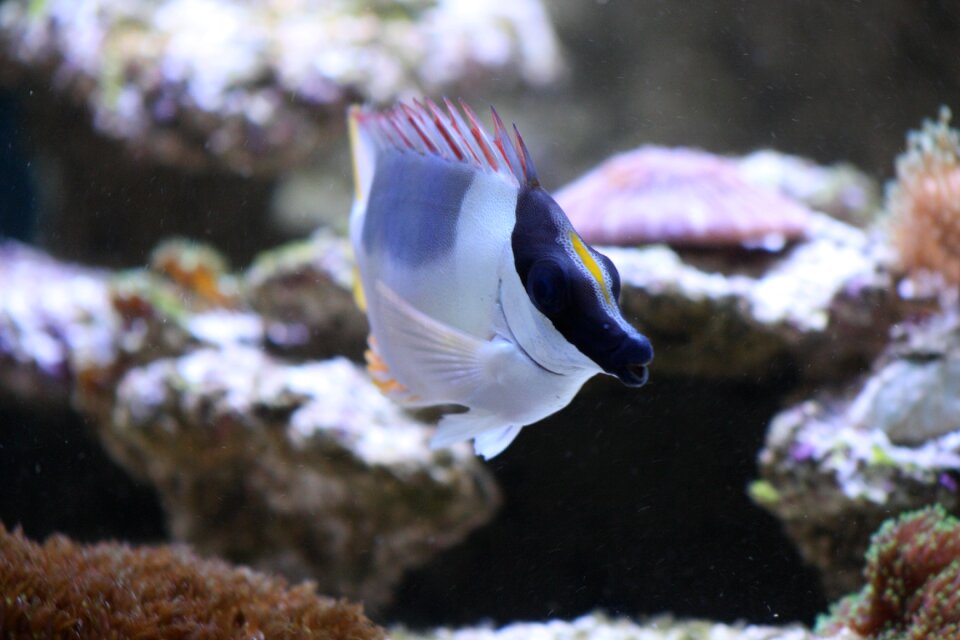 Sea salt water nature