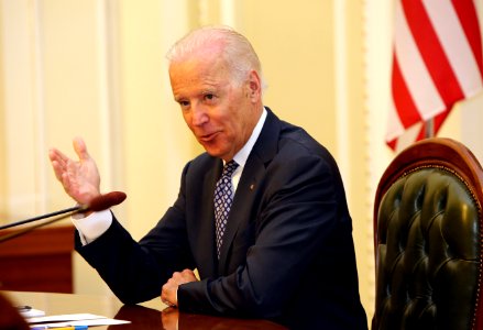 Vice President Joe Biden at a Meeting with Ukrainian Legislators, April 22, 2014 (14001914513) photo