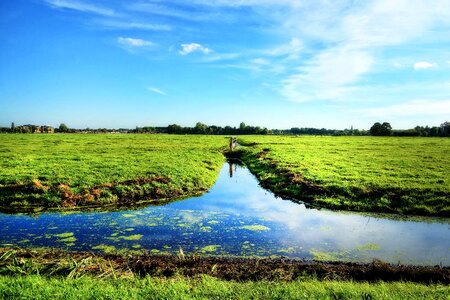 Rural farmland polder photo