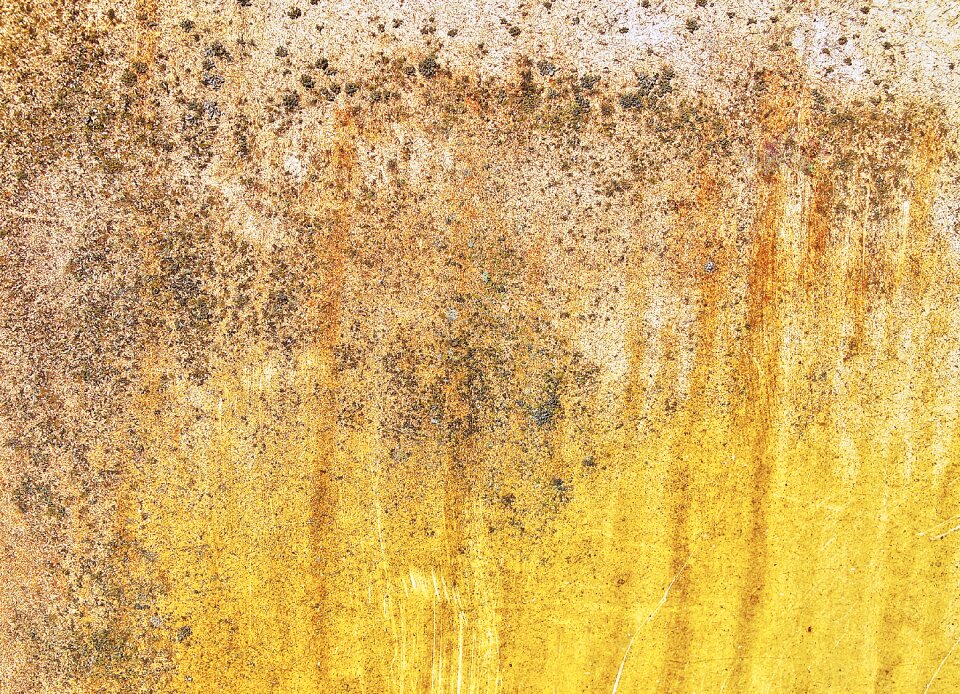 Texture background grunge