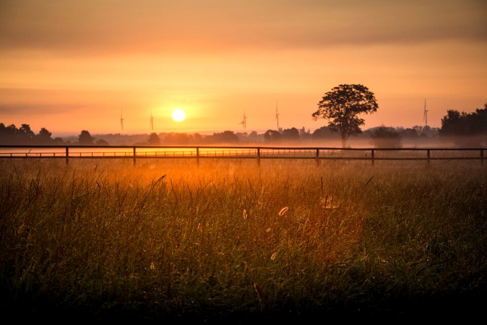 Morning orange fog photo