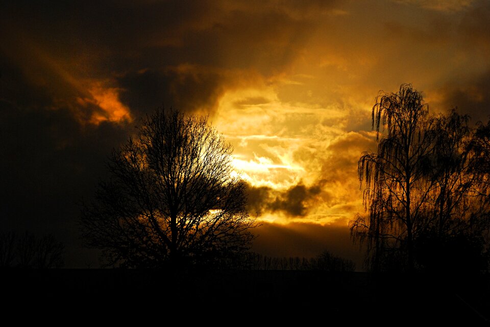 Nature sun silhouette