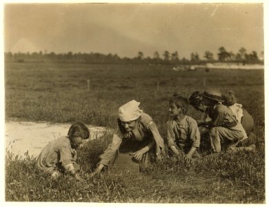 Victoria Borsa, 1223 Catherine St., Philadelphia. 4 year old berry picker. Brother 7 years old. While I was photographing them, the mother was impatiently urging them to 'pick, pick.' Whites LOC nclc.00062