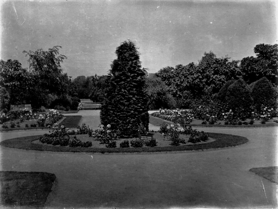 Victoria Park (4641609)