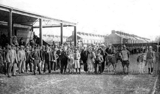 Victoria Ground Stockton on Tees (2)