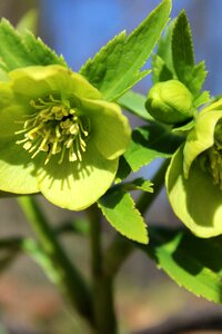 Outdoors wood flora