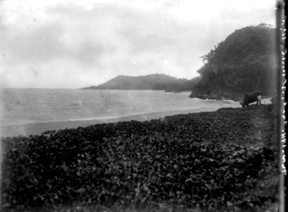 Vid stranden på vägen till Fandrarazans. Madagaskar - SMVK - 021756
