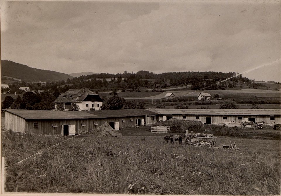 Viehplatz, sogenannter Laboisenplatz. Auf demselben sind die Melkkühe sowie die Schweizerei obiger Anstalt untergebracht. Belagraum 100 bis 120 Stück. Aufgenommen am 20. Juli 1916. (BildID 15477527)