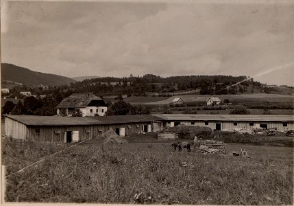 Viehplatz, sogenannter Laboisenplatz. Auf demselben sind die Melkkühe sowie die Schweizerei obiger Anstalt untergebracht. Belagraum 100 bis 120 Stück. Aufgenommen am 20. Juli 1916. (BildID 15477527)