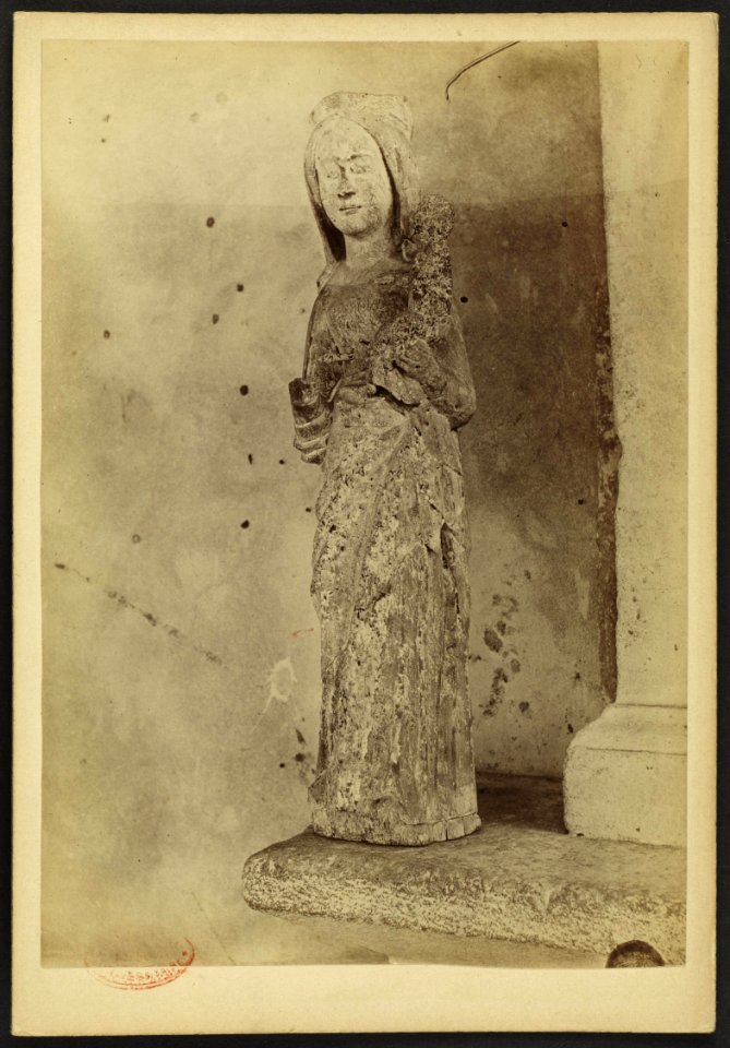 Vierge bois - J-A Brutails - Université Bordeaux Montaigne - 0319