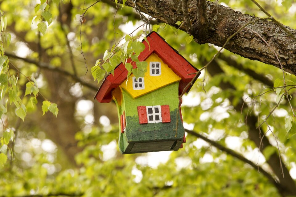Bird feeder house spring