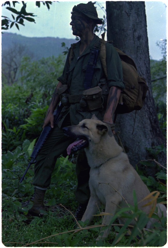 Vietnam. Lance Corporal Ralph H. McWilliams and his scout dog, Major. - NARA - 532479