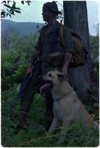 Vietnam. Lance Corporal Ralph H. McWilliams and his scout dog, Major. - NARA - 532479