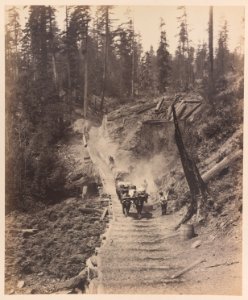 View 2. Skid road (2010-6992)