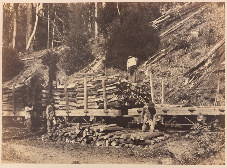 View 1. Loading cordwood 2010-6971