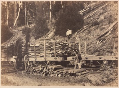 View 1. Loading cordwood 2010-6971