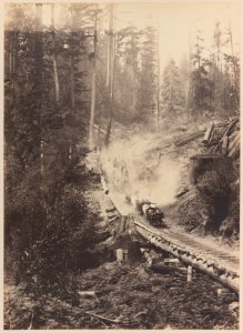 View 2. Hauling logs 2010-6972