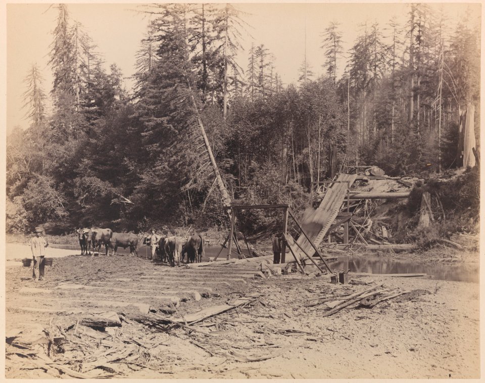 View 3. Log hoist 2010-6975