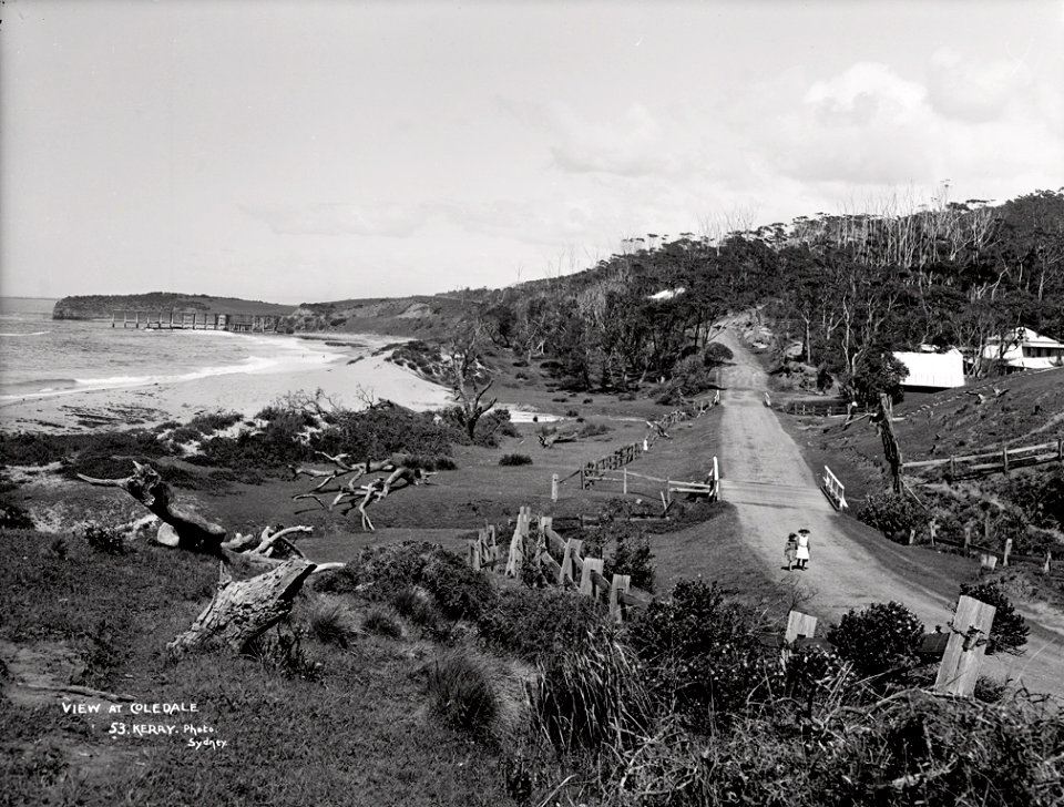 View at Coledale from The Powerhouse Museum