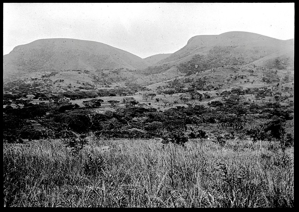 View from first camp Wellcome L0022667