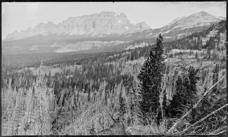 View from Togwotee Pass. Lincoln County, Wyoming - NARA - 517202