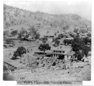 View in Copperopolis, Calaveras County LCCN2002724183