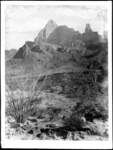 View from the Peach Springs Trail, Grand Canyon, Arizona, ca.1900 (CHS-4568)