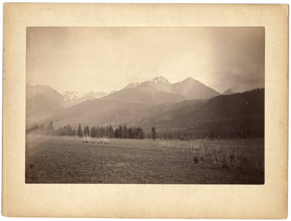 View in the Altai Mts near Altai Station LCCN99615448