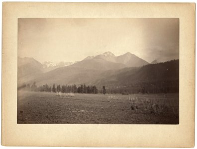 View in the Altai Mts near Altai Station LCCN99615448